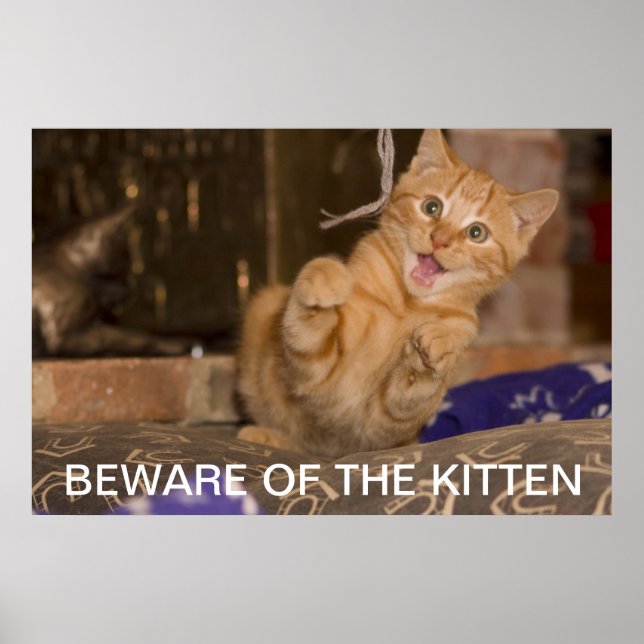 Affiches Attention au Kitten (Devant)
