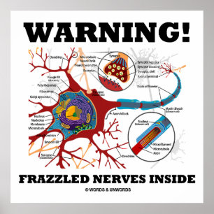 Affiches Attention ! Synapse de neurone inside Frazzled