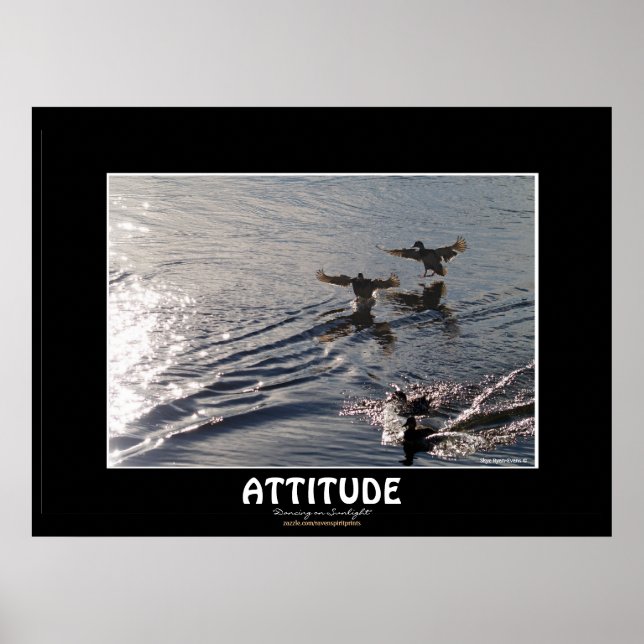 Affiches ATTITUDE DE Canard sauvage Motivation Nature Photo (Devant)