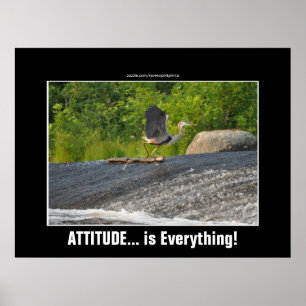 Affiches ATTITUDE EST TOUT GRAND Héron Bleu & Chutes