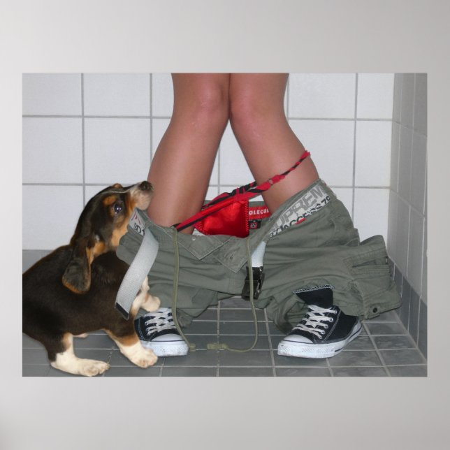 Affiches Attrapé avec mon pantalon à nouveau, mignon chien  (Devant)