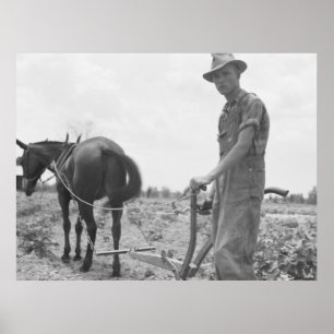 Affiches Au travail dans le coton