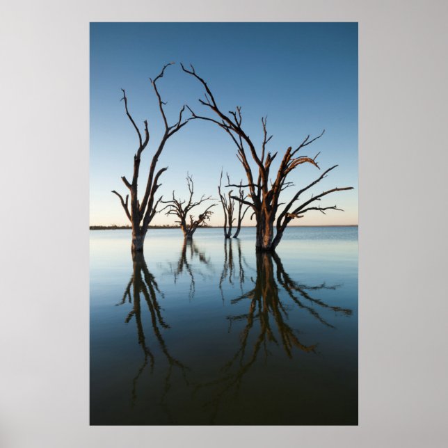 Affiches Australia, Murray River Valley, Barmera, lac (Devant)
