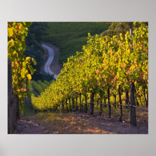 Affiches Australie du Sud, Adélaïde Hills, Summertown. 2