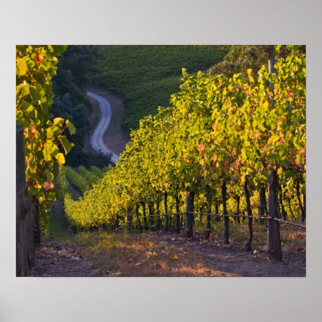 Affiches Australie du Sud, Adélaïde Hills, Summertown. 2 (Devant)