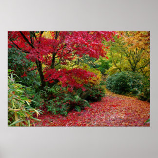 Affiches Automne