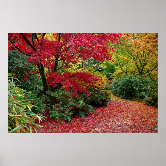Affiches Automne (Devant)