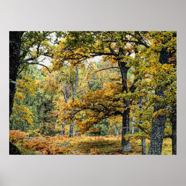 Affiches Automne 34 (Devant)