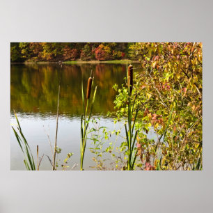 Affiches Automne à l'étang
