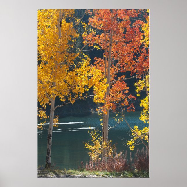 Affiches Automne au lac Bear (Devant)
