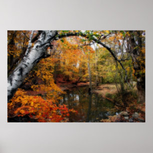 Affiches Automne Aux Sources Petrifiantes