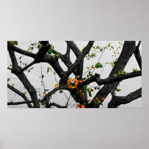 Affiches Automne Branches de l'arbre d'automne