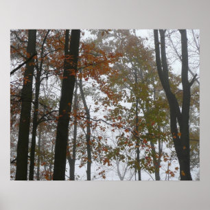 Affiches Automne brumeux dans la nature d'automne de Pennsy