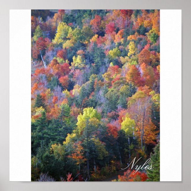 Affiches Automne dans les Adirondacks (Devant)