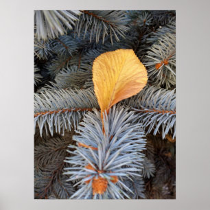 Affiches automne et hiver