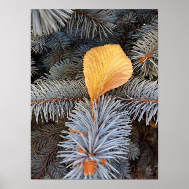 Affiches automne et hiver (Devant)