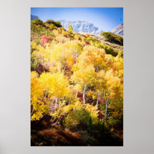 Affiches Automne et Timp