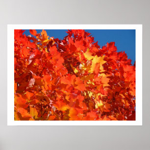 Affiches Automne rouge orange jaune Feuilles d'art estampes