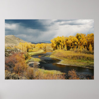 Affiches Automne sur la rivière Gunnison, Colorado