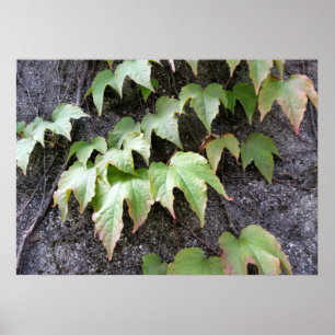 Affiches Automne sur un mur
