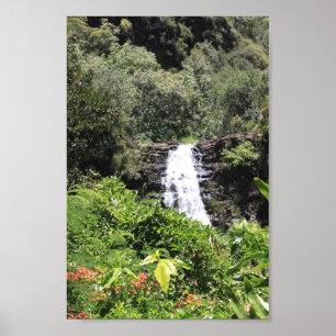Affiches Automnes de Waimea