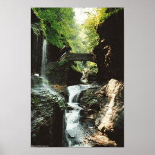 Affiches Automnes de Watkins