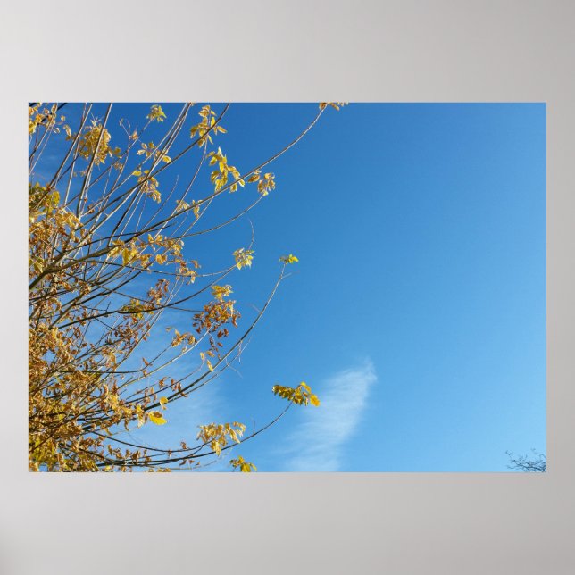 Affiches Autumn sky (Devant)