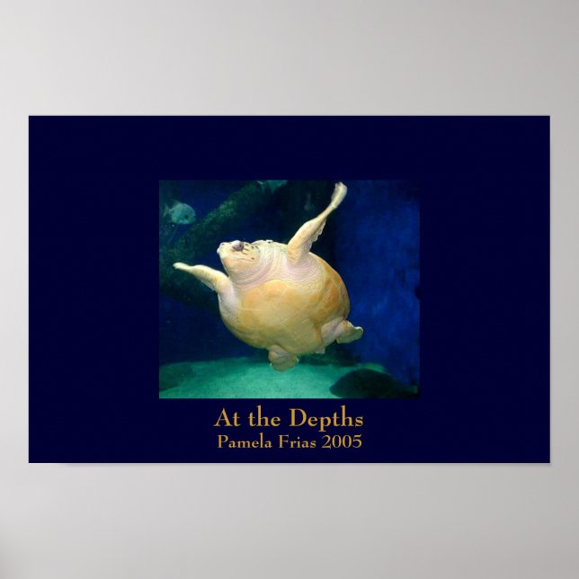 Affiches Aux profondeurs (Devant)