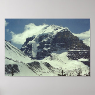 Affiches Avalanche !