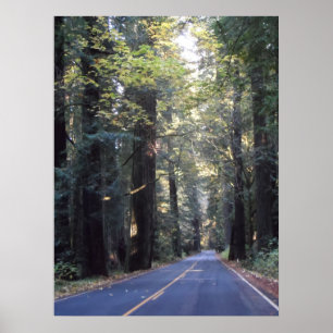 Affiches Avenue des géants - Humboldt Redwoods State Park