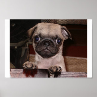 Affiches avez-vous appelé ?