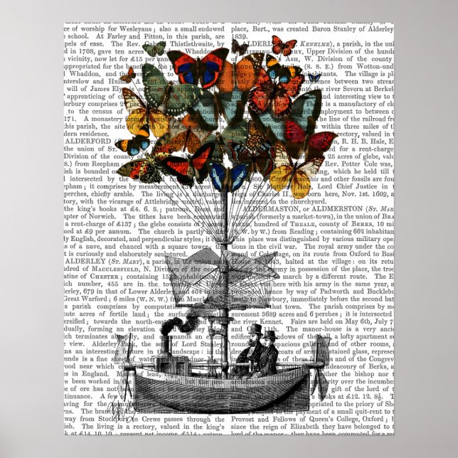 Affiches Avion papillon (Devant)