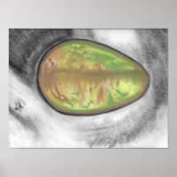 Avocado - huile pastel encore vie toile-