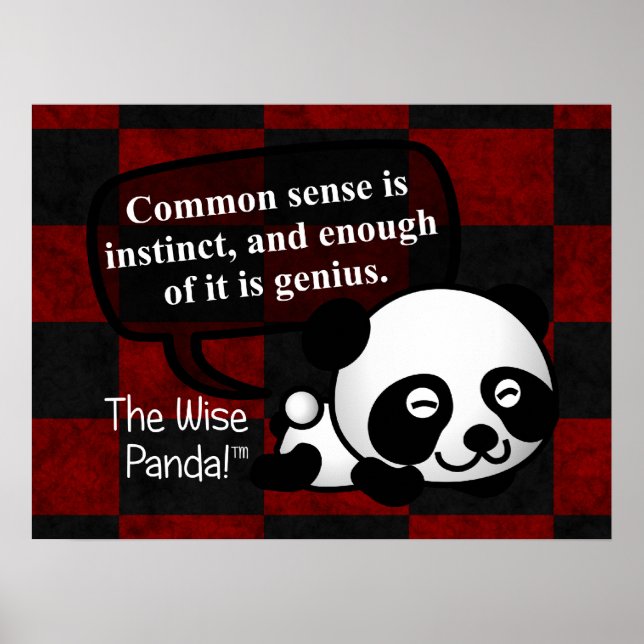 Affiches Avoir du bon sens fait de vous un génie (Devant)