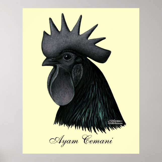 Affiches Ayam Cemani Rooster Head (Devant)