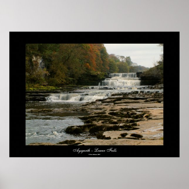 Affiches Aysgarth - Lower Falls | (Devant)