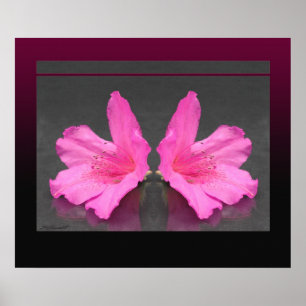 Affiches Azalea Mirrored Print -24x20 -autres tailles égale