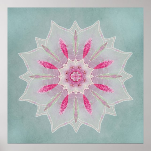 Affiches Azalea rose Veil Lotus (Devant)
