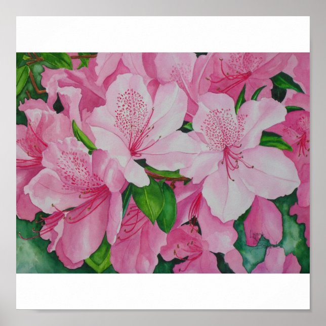 Affiches Azaleas doux (Devant)