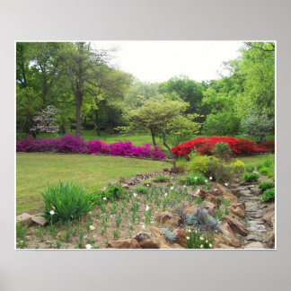 Affiches Azaleas in Oklahoma