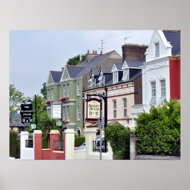 Affiches B&B Cork (Devant)