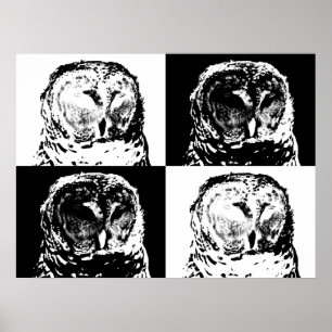 Affiches B/W Barred Owl Pop Art