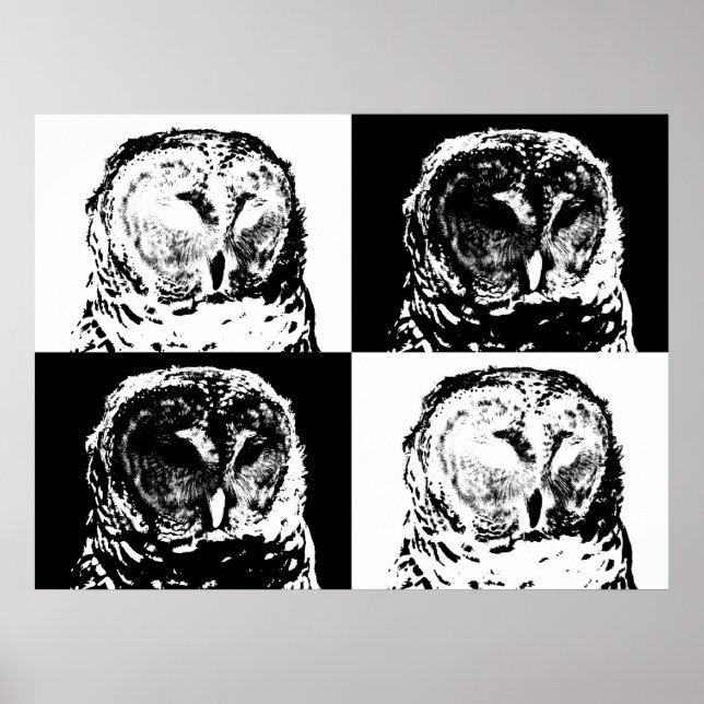 Affiches B/W Barred Owl Pop Art (Devant)