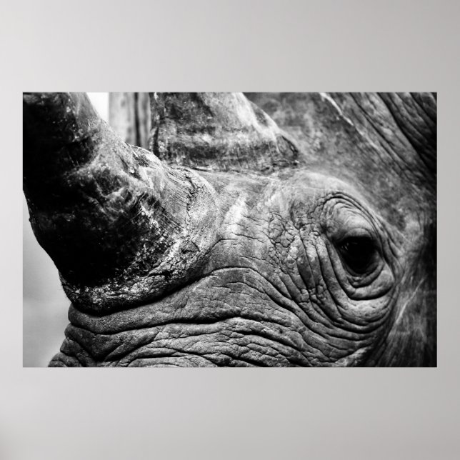Affiches B&W Rhino (Devant)