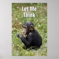 Baby Chimpanzee | Pan Troglodytes