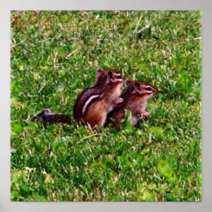 Affiches Baby Chipmunks Premier Jour #6 Animal