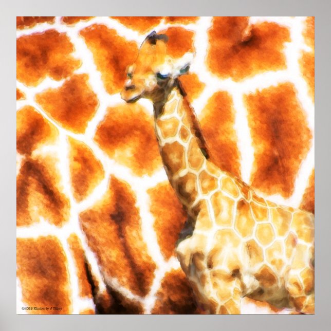 Affiches Baby Giraffe (Devant)