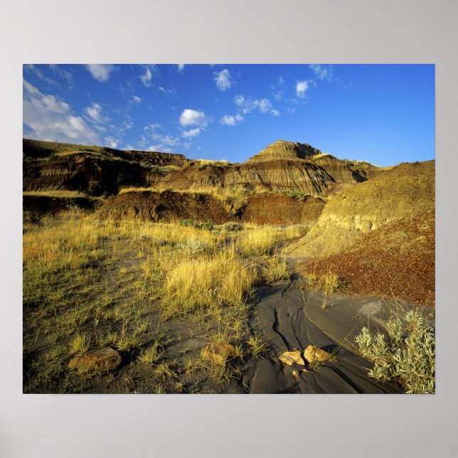 Affiches Badlands at Dinosaur Provincial Park in Alberta, (Devant)