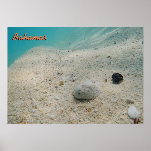 Affiches Bahamas sous-marine (Devant)
