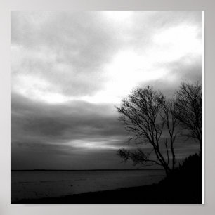 Affiches Baie De Fundy